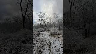 Winter wonderland in Ithaca NY Dec 11 2023