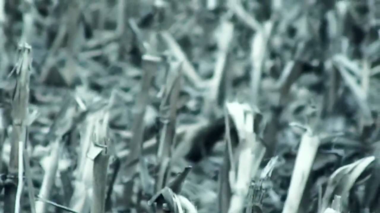Mr. Lif - The Sun (Official Video)