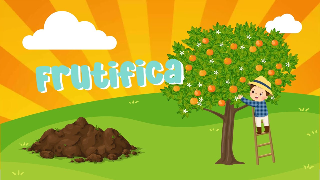 Frutifica | Bárbara Pinheiro | Vídeo Oficial