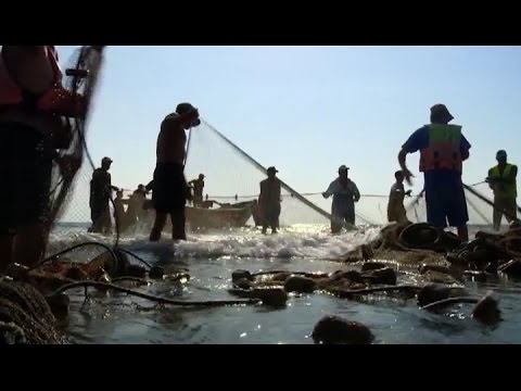 7 აპრილს, 22 საათზე - ქართული დოკუმენტალისტიკა, \"სადაც იწყება ზღვა\"