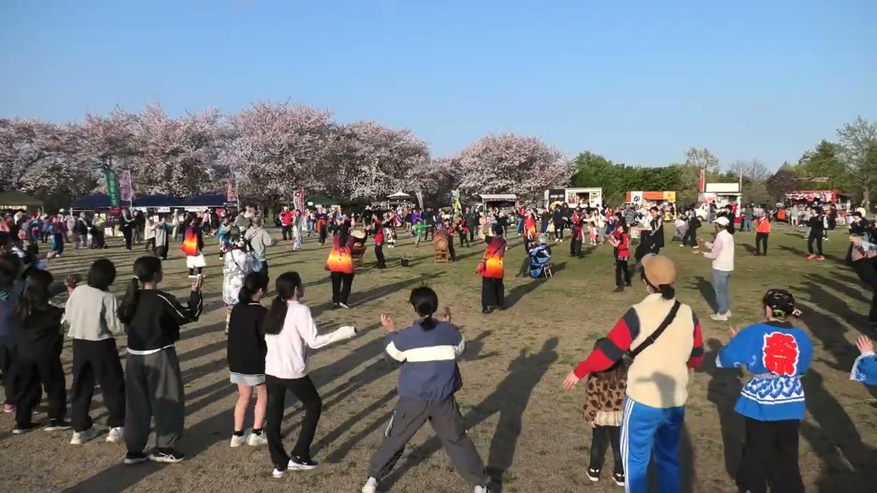 4K】【バハマ・ママ】 2025年中原ふれあい防災公園 春の盆踊り8 千葉 