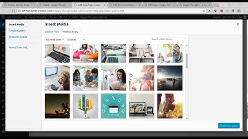 Happy Thoughts WordPress Theme - Steps to setup Homepage with posts layout
