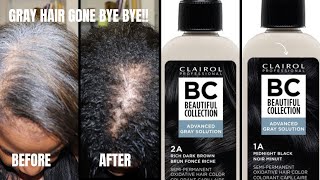 Stubborn gray hair GONE!!  Clairol Beautiful Collection Advanced Gray Solution.