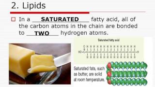 2.2.1 Macromolecules Frontload