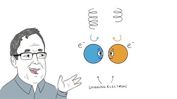 The Chiral Induced Spin Selectivity Effect From The Weismann Institute