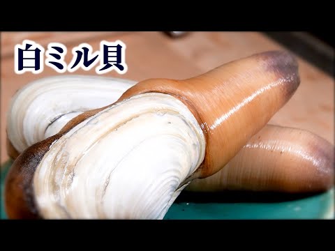 原叟好溜ミル貝片口 hqdefault.jpg