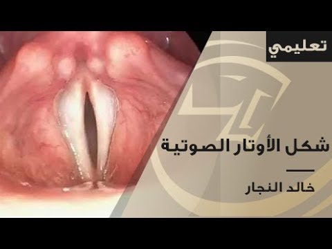 فيديو: أين تقع الحبال الصوتية؟