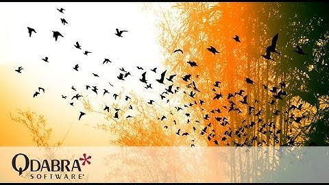 Create smart forms that are dynamic and responsive: Qdabra Weekly Free Webinar