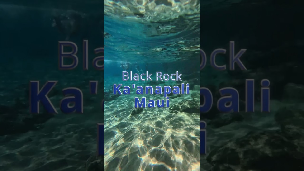 Black Rock Snorkeling in Ka'anapali Maui - A quick look at this popular West Maui Snorkeling spot