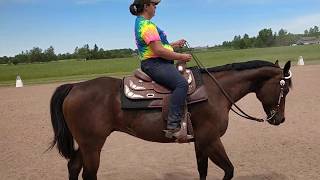 6-20 #108 Class #32 Ama/Select Ranch Riding