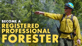 Become a Registered Professional Forester (RPF)