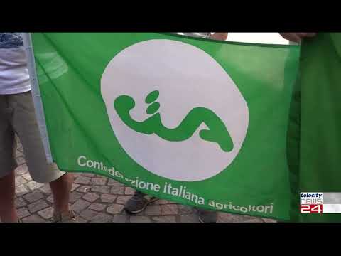 11/10/23 - La protesta del grano si sposta alla Granaria di Milano