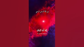 قرآن كريم  بصوت القارئ محمد الفقيه ستوريات دينيه