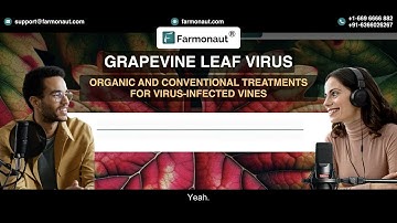 Grapevine Leaf Virus : Organic and Conventional Treatments for Virus-Infected Vines