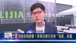 109 0519 突破疫情衝擊！屏東品牌石斑魚「首航」美國