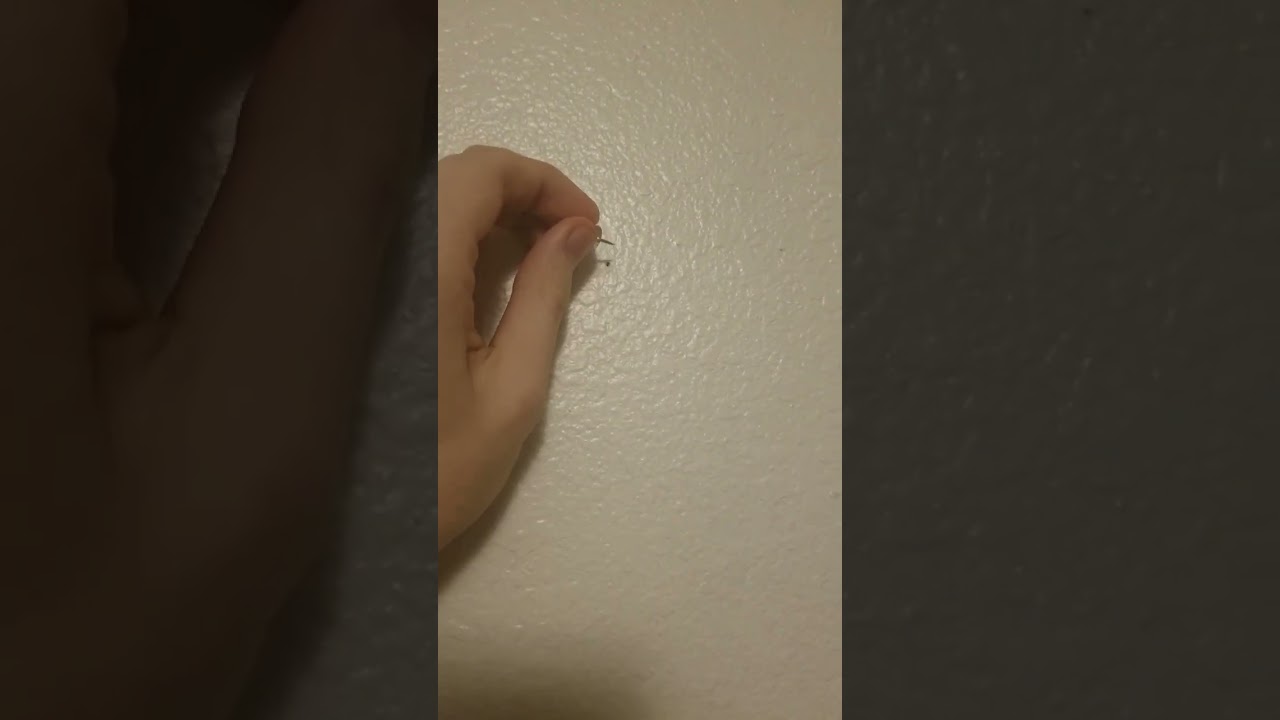 How to put a thumbtack in the wall