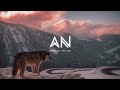 Chillout Music 2023 Aurora Night Whered You Go Chillout Music 2023 Aurora Night Whered You Go