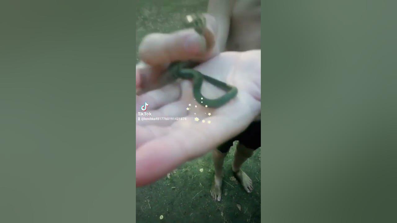 Ужики - YouTube