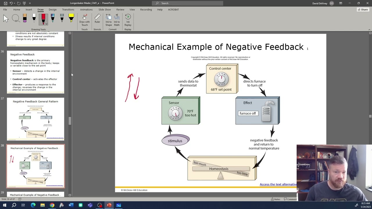 Feedback Loops Bio 163
