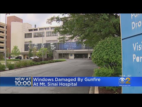 Windows Damaged By Gunfire At Mt. Sinai Hospital