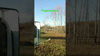 #юмордлявзрослых #позитив #цитатыпрожизнь #популярное #стэтхэм #цитаты #топ #shotrs_video