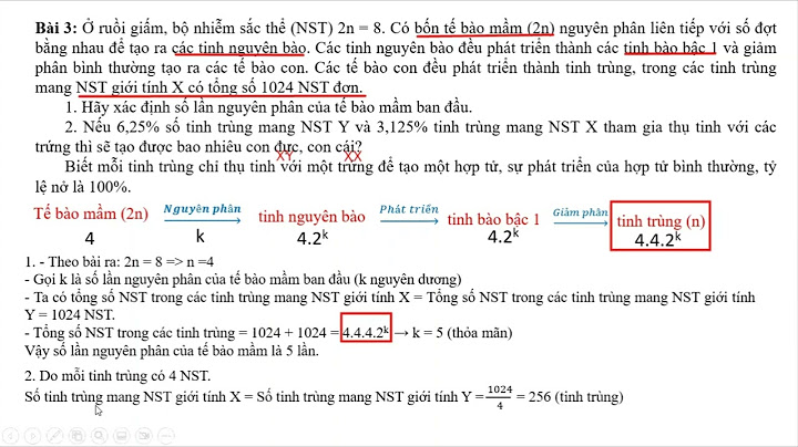 Bài toán nguyên phân giảm phân lớp 10