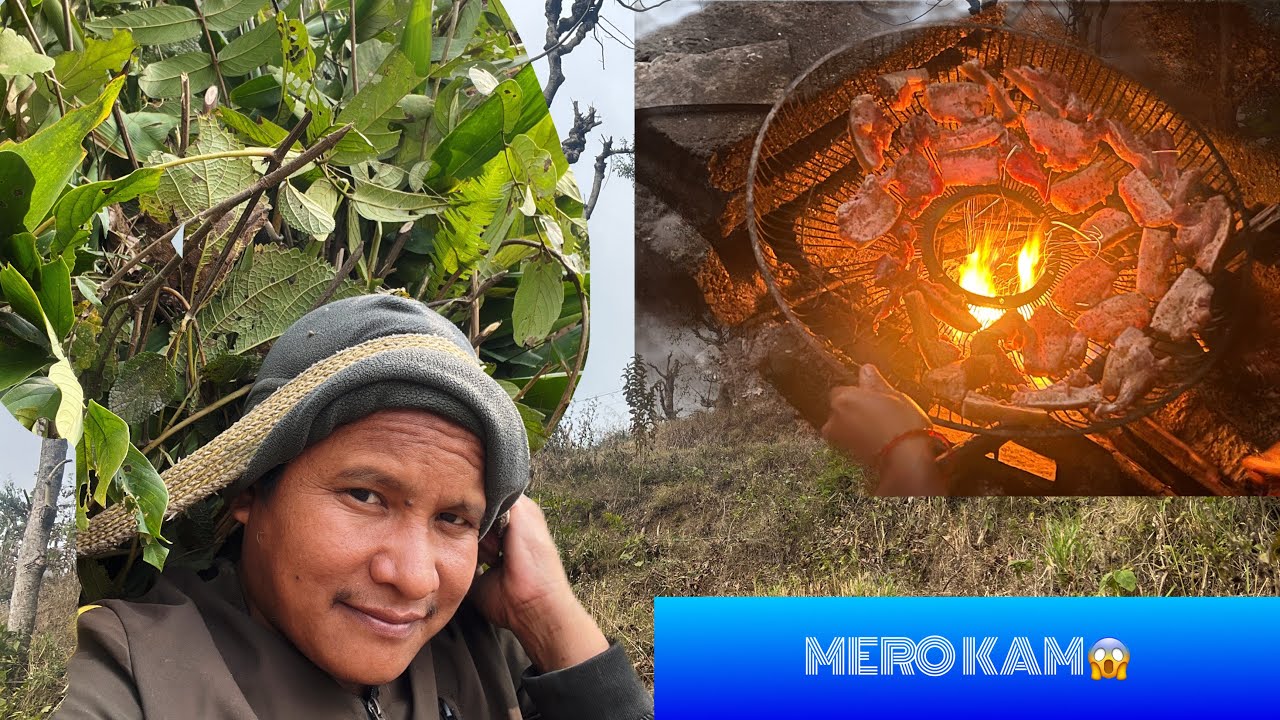 सुगुर को मासु पोलेर खायेको क्या दामी भो अनी घास पनी काटे 😀