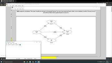 View the Number of Different Values for Variables in WarpPLS