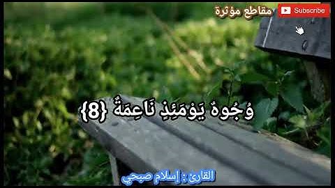 وجوه يومئذ ناعمة ، تلاوة قصيرة للقارئ إسلام صبحي