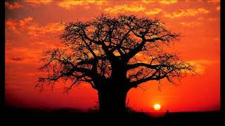 Mdahalo Kuhusu Tawassuli - Sheikh Kassim Mafuta na Sembe Dhidi ya Kazuba