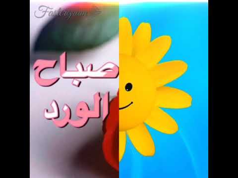 مع اشراقة الشمس صباح الخير حبايبنا واتس اپ