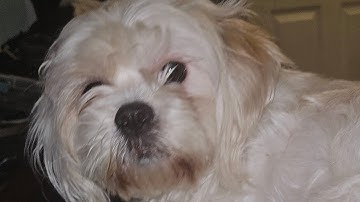 Urwiralydsktlhcitzotaktwkdy. exe  My New Gdi Malware.