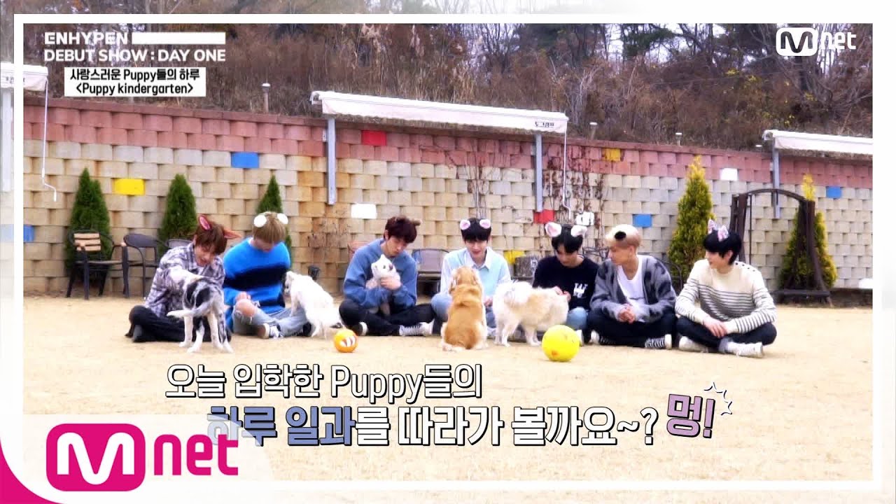 [ENG] 웰컴투 퍼피 킨더가든♡ 댕댕이들의 멍뭉미 폭발하는 자기소개 TIME (멍!) l ENHYPEN DEBUT SHOW : DAY ONE