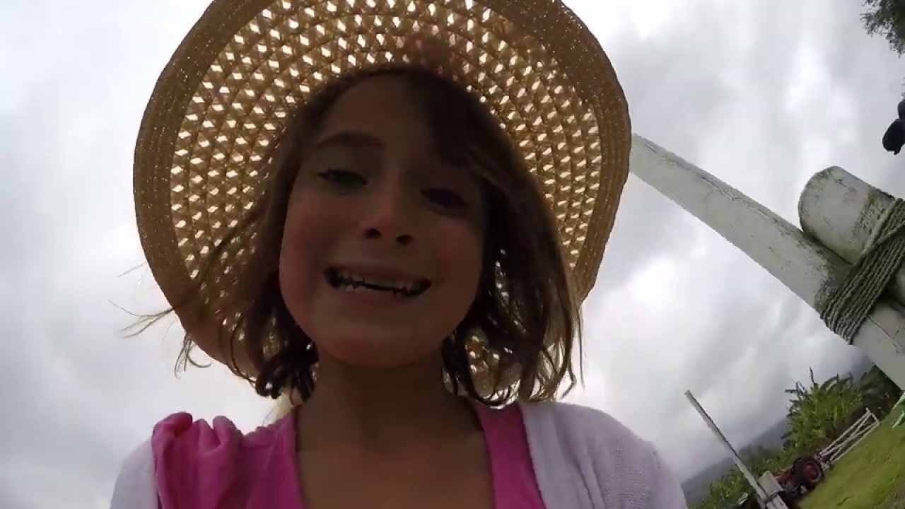 Strawberry Picking at Kula Country Farm YouTube