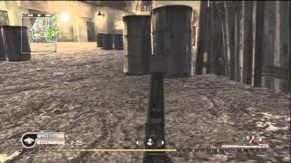 20 Killstreak on Bog with the RPD