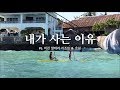 내가 사는 이유 (ft. 미친 알테라 리조트 & 호핑) 필리핀 세부