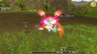 Flyff Universe- Lv.105 Blade Vs Knight DPS