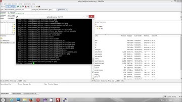 Open Source Librarian:How to Install Wordpress