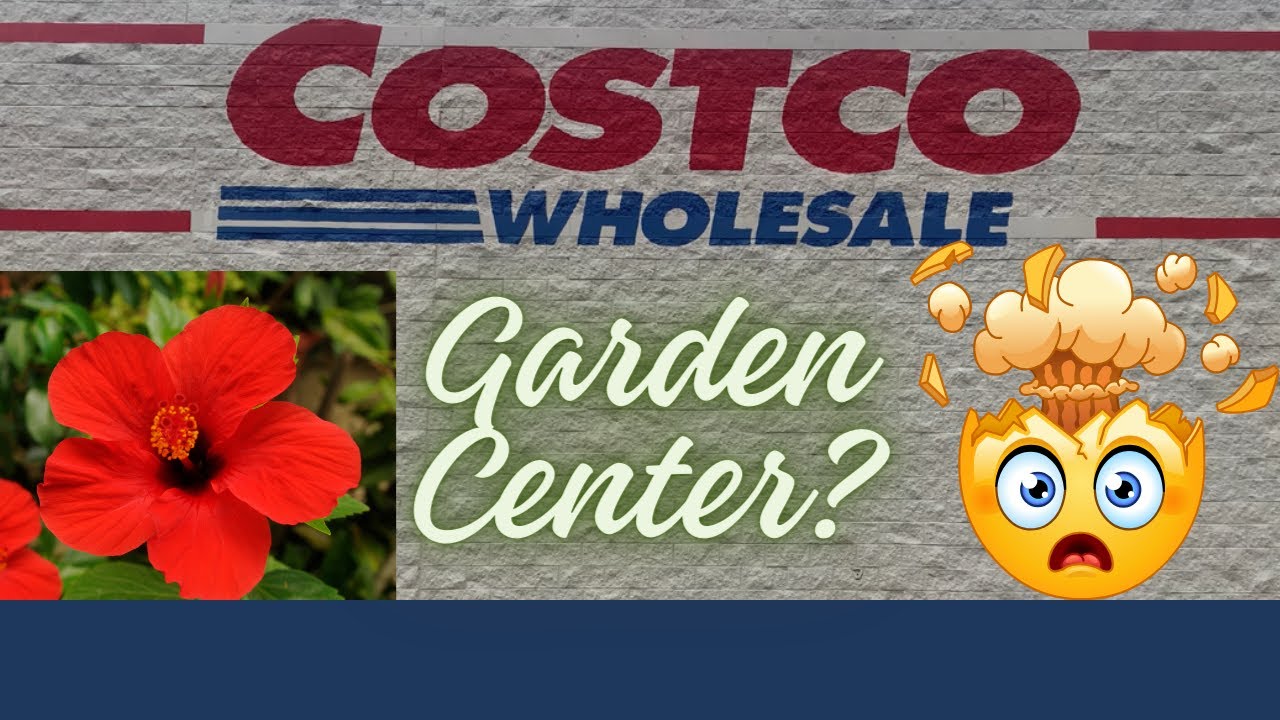 Costco's New Garden Center How Do Their Plant Prices Stack Up Against