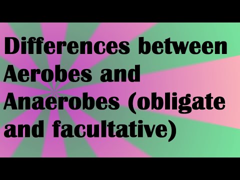 Biology Differences between Aerobes and Anaerobes (obligate and facultative)