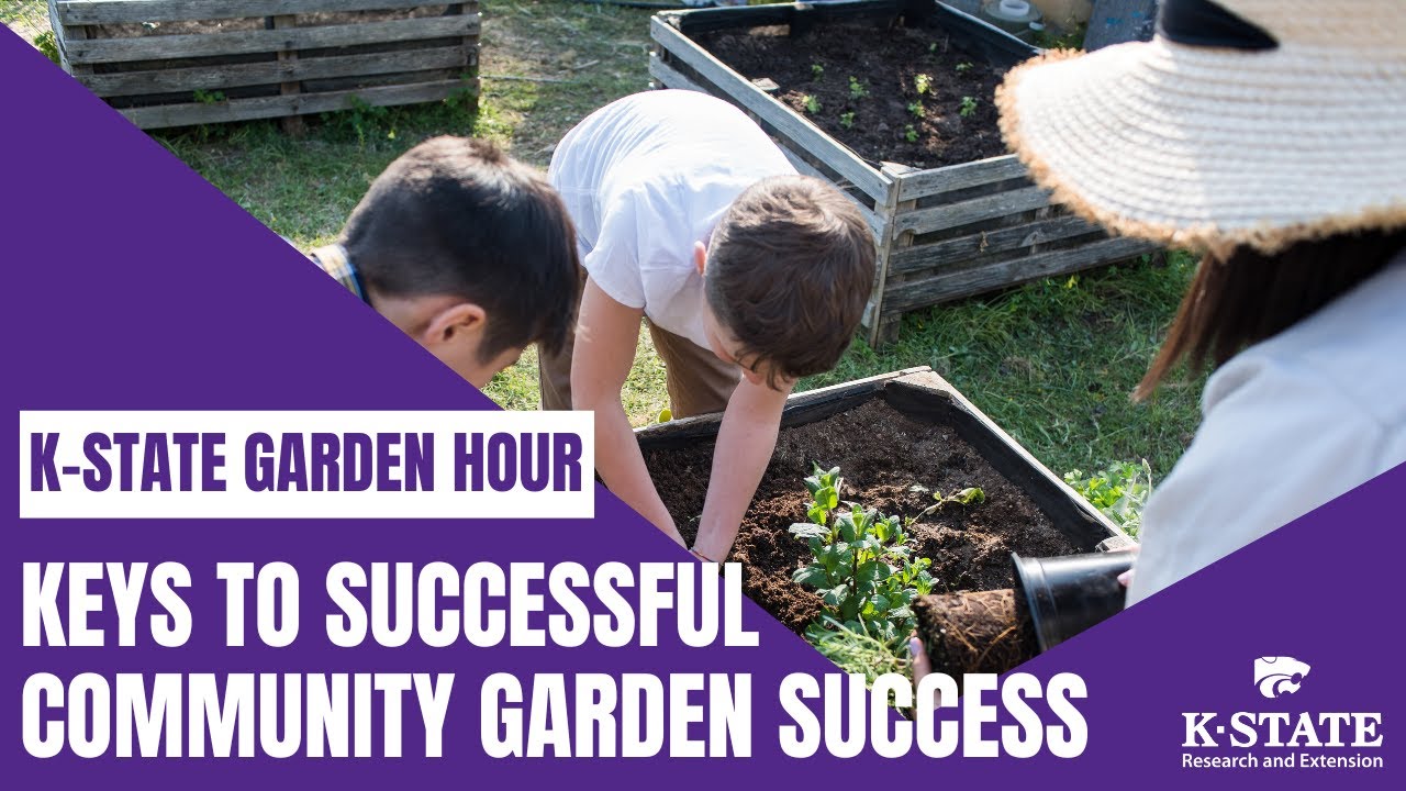K-State Garden Hour: Keys to Successful Community Garden Spaces