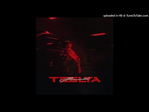 TESLYA-MERCEDES (СЛИВ 2021)