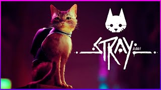 КОТЯЧИЙ КИБЕРПАНК | STRAY стрим