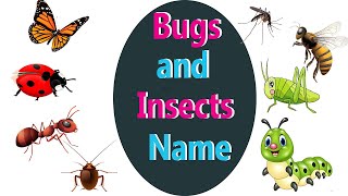 Insects and Bugs Name I learn names of bugs I kids learning