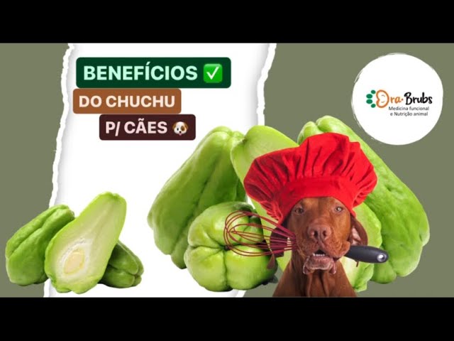 BENEFÍCIOS DOS CHUCHU P/ CÃES