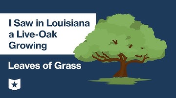 Leaves of Grass by Walt Whitman | I Saw in Louisiana a Live-Oak Growing