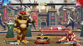 Street Fighter V Ce R. Mika Vs Gill Pc Mod