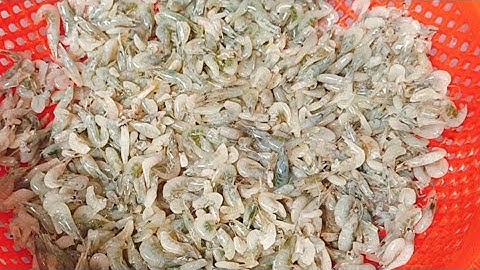 Bí Quyết Làm Sạch Râu Tép Nhanh  Không Dùng D a o Kéo 