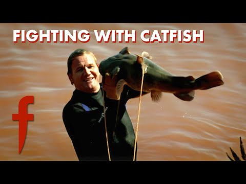 Diving Into The Unknown: Gordon Tackles Catfish With His Bare