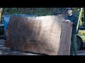 Live Edge For Beginners - Wood Bugs and Green Wood - How To Woodworking